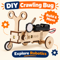 Crawling Bug DIY STEM kit product photo