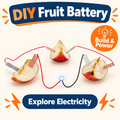 Fruit Battery DIY STEM kit product photo